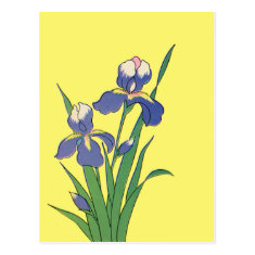 Vintage Floral, Purple Spring Garden Irises Post Card