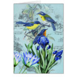 Vintage Floral Songbirds Apparel and Gifts Greeting Card