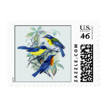 Vintage Floral Songbirds Apparel and Gifts Postage Stamps
