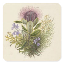 Vintage Floral Thistle Sticker
