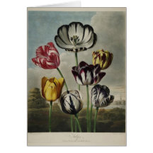 Vintage Floral Tulip Painting Greeting Card