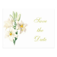 vintage floral white lily flowers save the date post cards