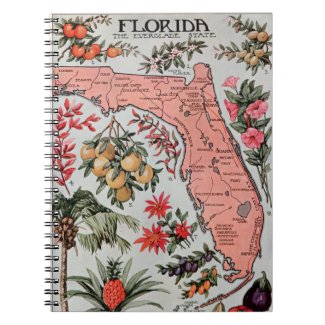Vintage Florida Map Notebook