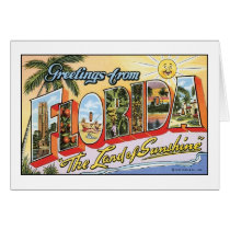 Vintage Florida Postcard