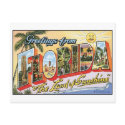 Vintage Florida Postcard