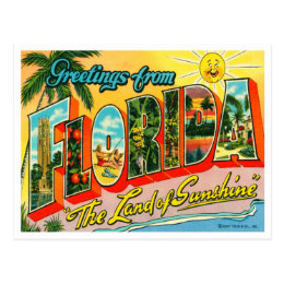 Vintage Florida Postcard