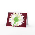 Vintage Flower cards by planespotting Vintage Flower cards