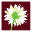 Vintage Flower posters