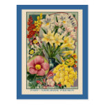 Vintage Flower Seed Catalog Post Cards
