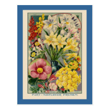 Vintage Flower Seed Catalog Post Cards
