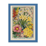 flowers, flower, floral, vintage, retro, colorful,