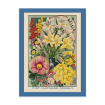 Vintage Flower Seed Catalog Post Cards