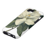 Vintage Flowers, Blooming White Magnolia Blossom iPhone 5 Covers