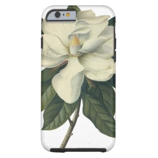 Vintage Flowers, Blooming White Magnolia Blossom iPhone 6 Case