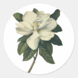 Vintage Flowers, Blooming White Magnolia Blossom Stickers
