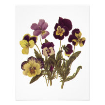 Vintage Flowers, Floral Garden Pansies in Bloom Personalized Invite
