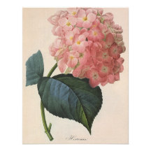 Vintage Flowers, Pink Hydrangea Hortensia Garden Custom Invitation