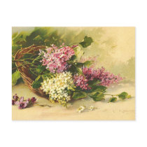 Vintage Flowers Postcard