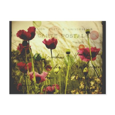 Vintage flowers Postcard by coconutpie