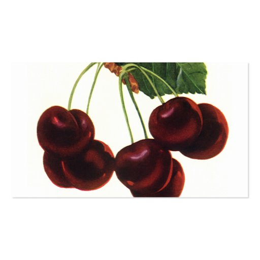 Vintage Food Fruit, Cherries on a Branch Business Card (back side)