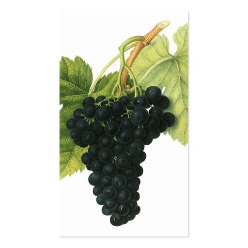Vintage Food Fruit, Red Wine Organic Grape Cluster Business Card (back side)