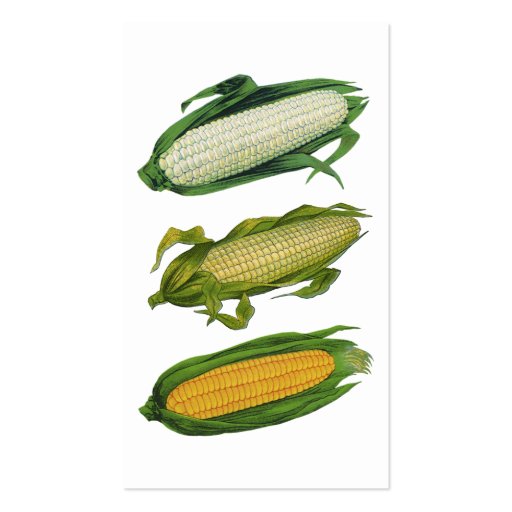Vintage Food Vegetables; Yellow Corn on the Cob Business Card Templates (back side)