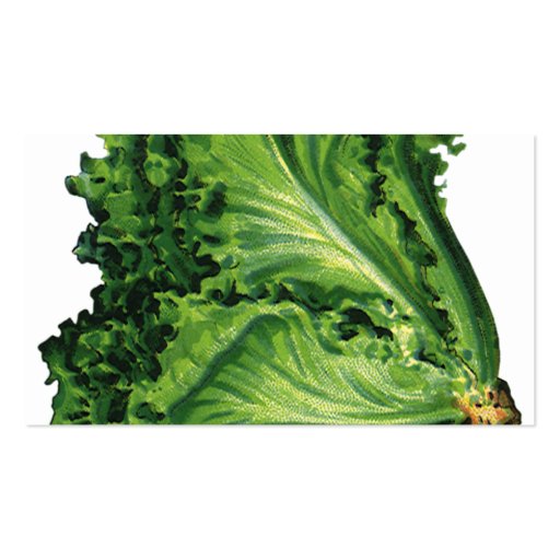 Vintage Foods, Vegetables, Green Leaf Lettuce Business Cards (back side)