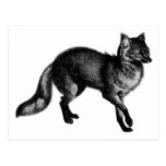 Vintage Fox Post Card