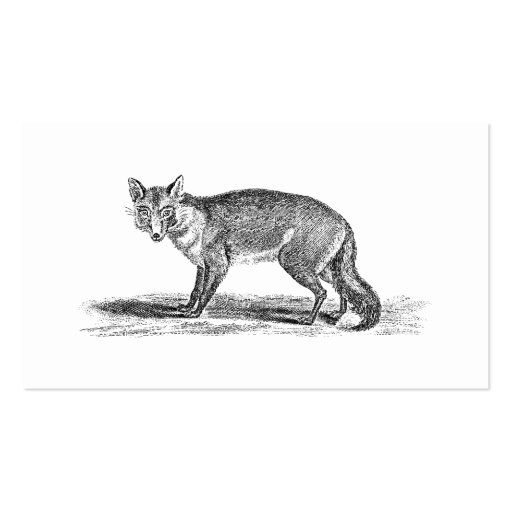 Vintage Foxy Fox Illustration - 1800's Foxes Business Card