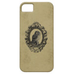 Vintage framed owl bird owls birds rustic chic iPhone 5 cases