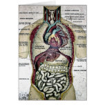 Vintage French Anatomy Card cards
