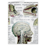 Vintage French Anatomy Card cards