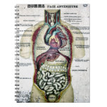 Vintage French Anatomy Notebook