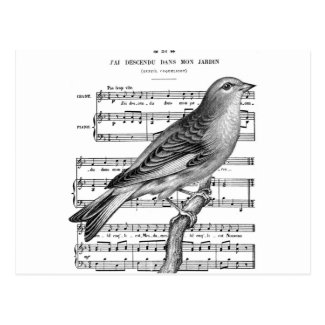 Vintage French Bird Song Music Postcard