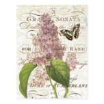 Vintage French Botanical lilac postcard postcards