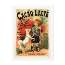 Vintage French hot chocolate drink ad Post Cards