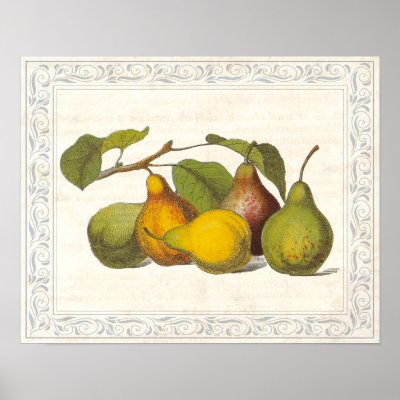 Vintage Kitchen Decor on Vintage French Pears Country Kitchen Decor Posters By Botanicalgardens