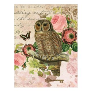 Vintage French shabby chic owl postcard