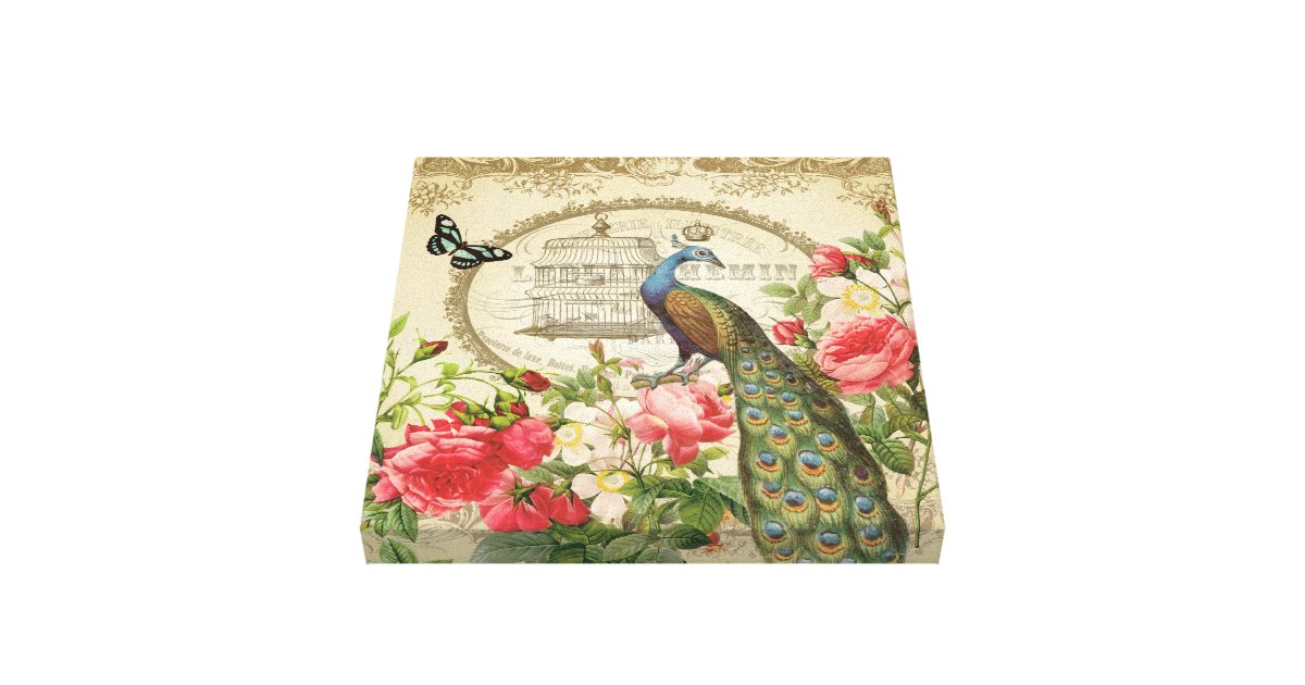 vintage french shabby chic peacock canvas print zazzle vintage french shabby chic peacock canvas print zazzle