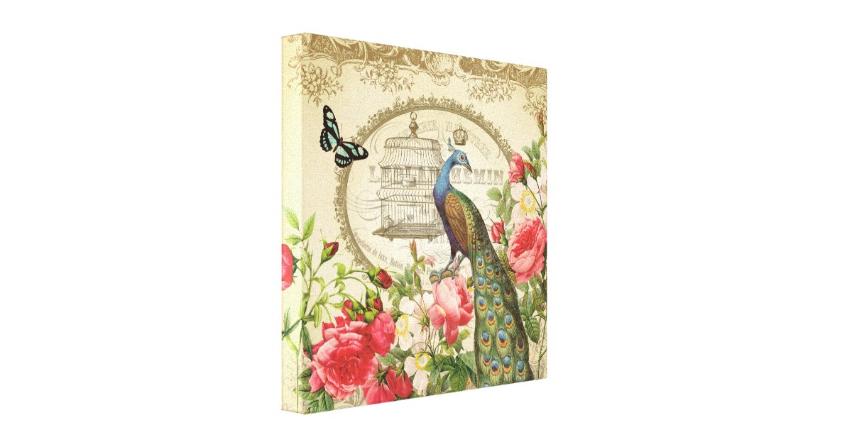 vintage french shabby chic peacock canvas print zazzle vintage french shabby chic peacock canvas print zazzle