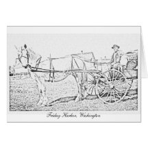 Vintage Friday Harbor Cards