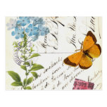 Vintage Fruit and Floral Postcard...postcard postcards