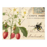 Vintage Fruit and Floral Postcard...postcard postcards