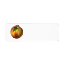 Vintage Fruit; Peach Custom Return Address Labels
