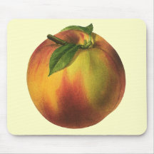 Vintage Fruit; Peach Mouse Pad