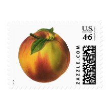 Vintage Fruit; Peach Stamp