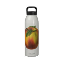 Vintage Fruit; Peach Reusable Water Bottle