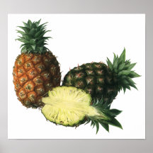 Vintage Fruit; Pineapples Posters