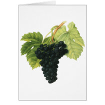 Vintage Fruit; Red Wine Grapes Greeting Card