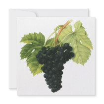 Vintage Fruit; Red Wine Grapes Custom Invites